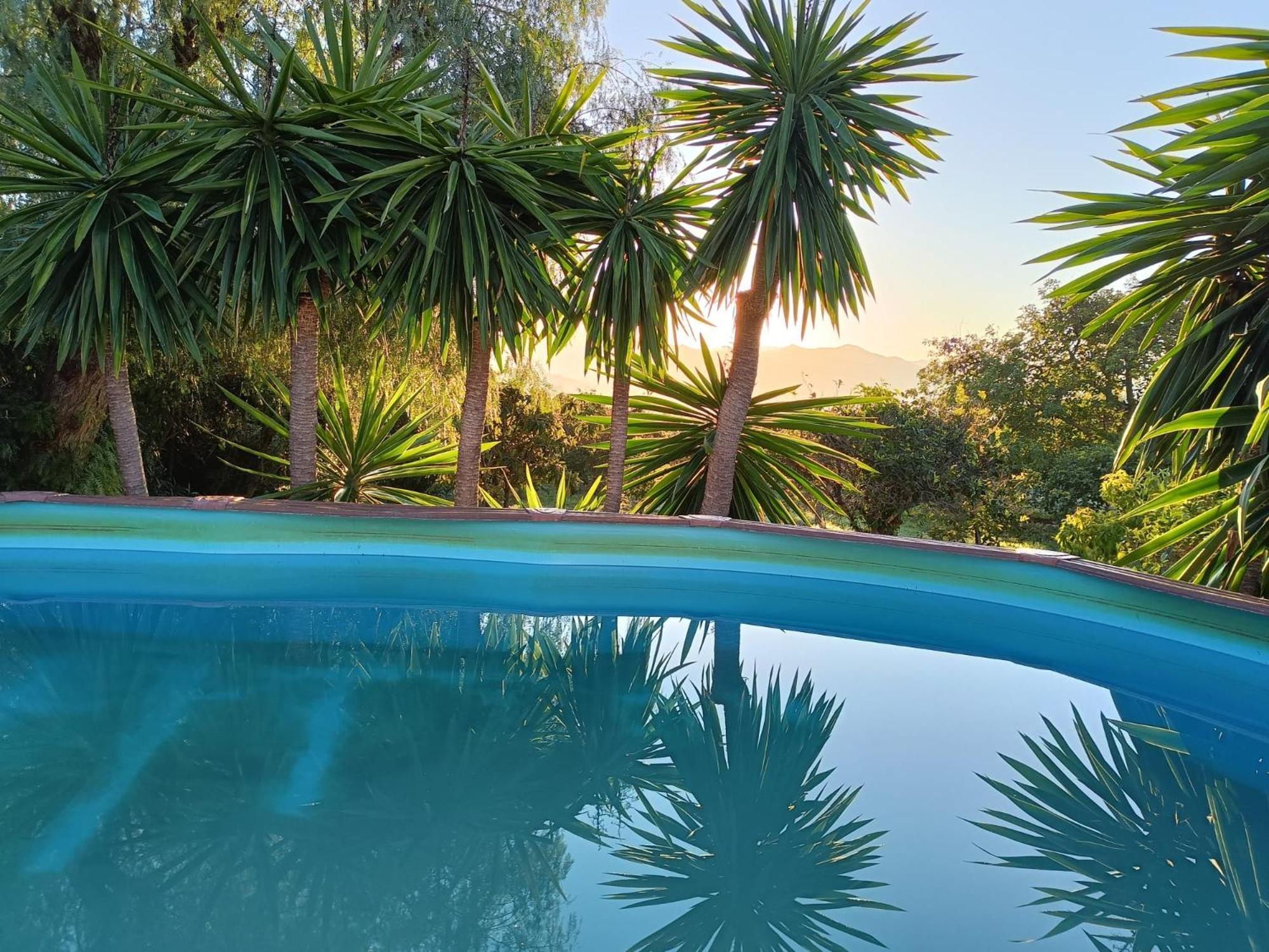 Villa Casita Naranja Alora Esterno foto
